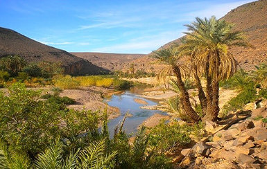 Fint Oasis e Tifoultoute Kasbah