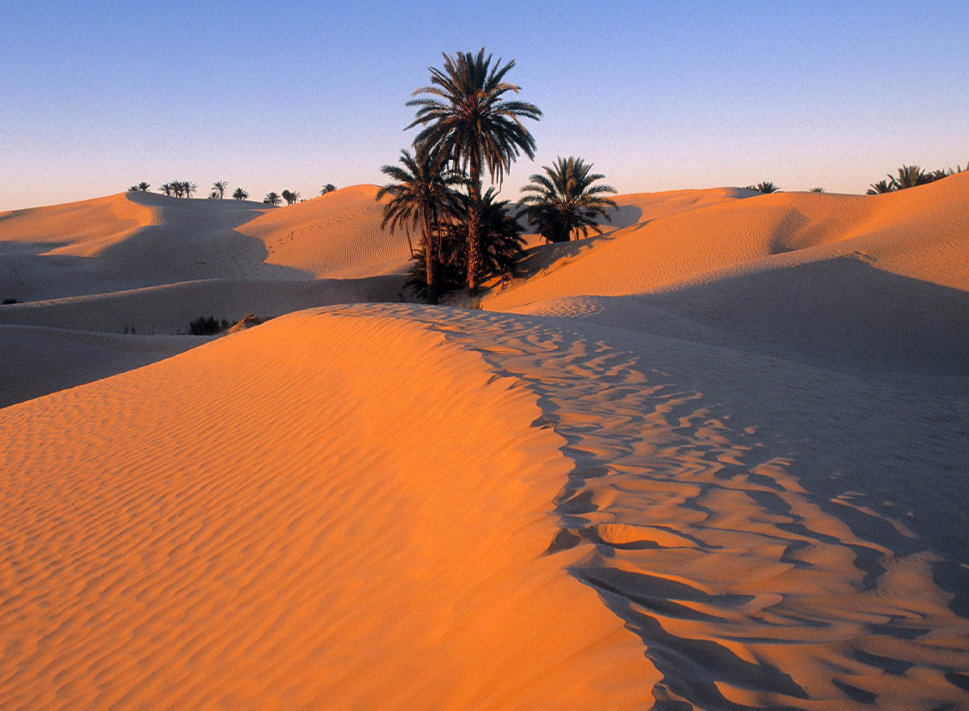 Morocco city Zagora