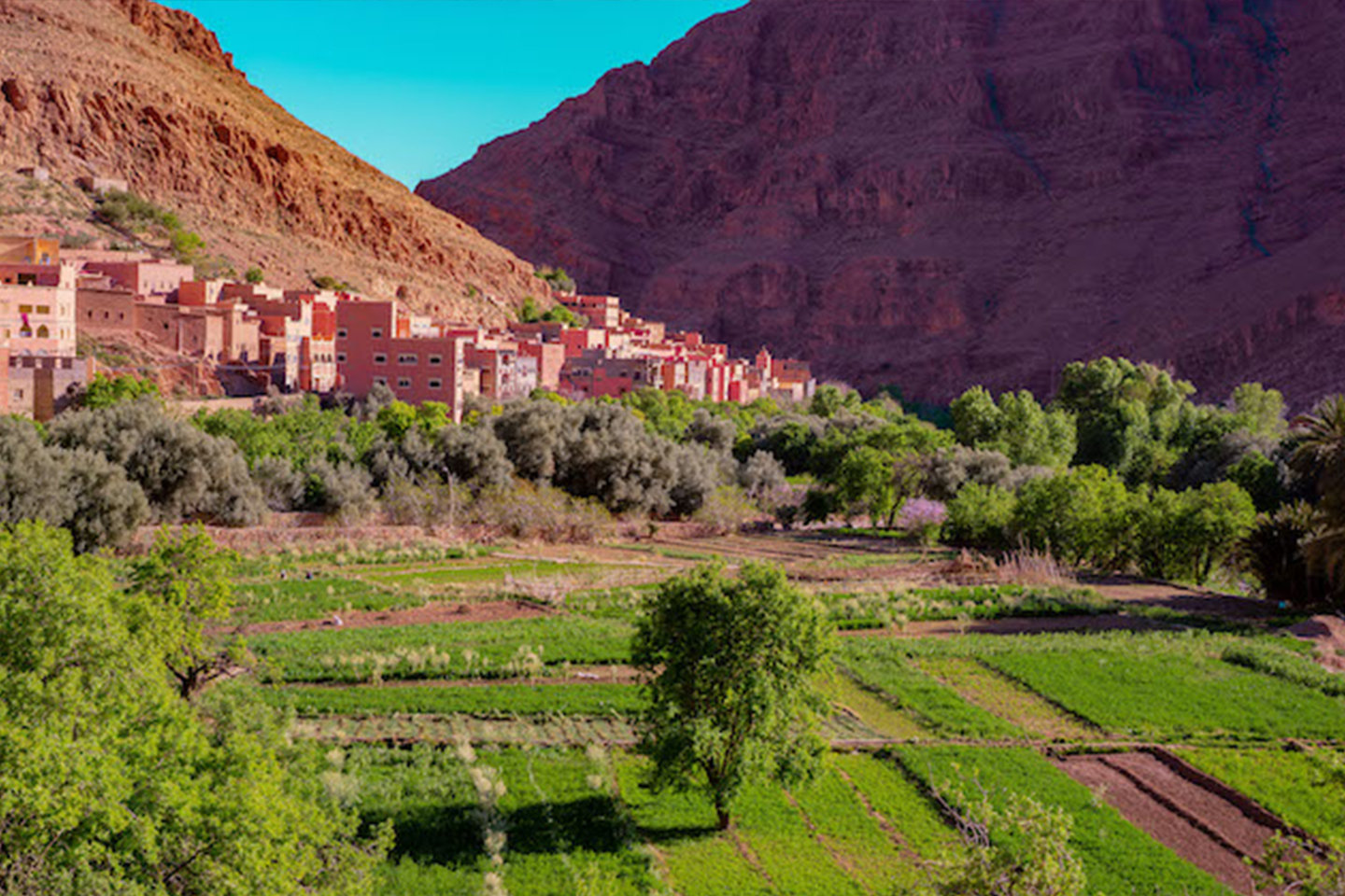 Todra Gorge & Tinghir