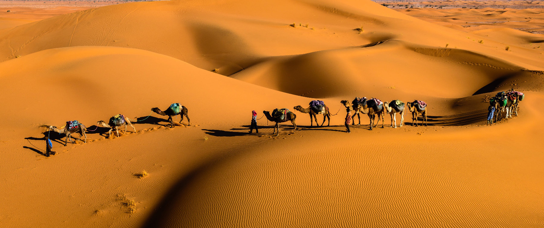 Merzouga Desert