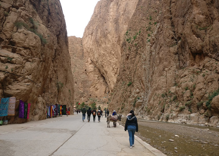 4 Days Tour to Todra Gorge & Merzouga Desert from Marrakech