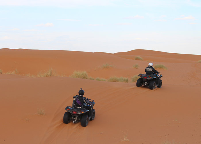  Buggy & Quad Biking