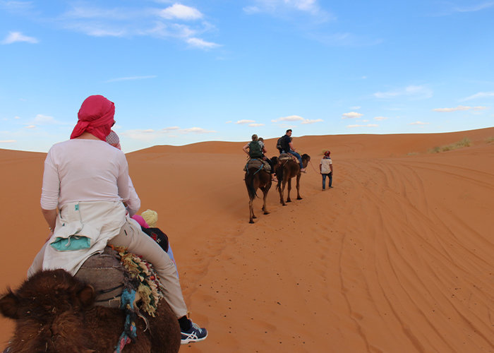  Camel Ride in the Desert
