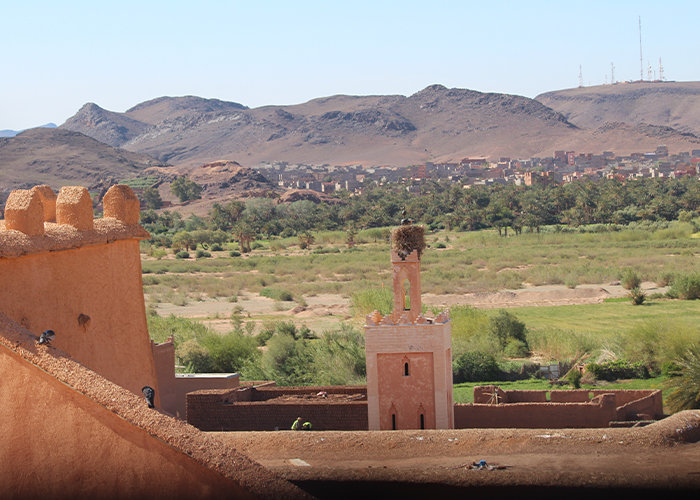 Escursione da Ouarzazate a Skoura Vally in mezza giornata