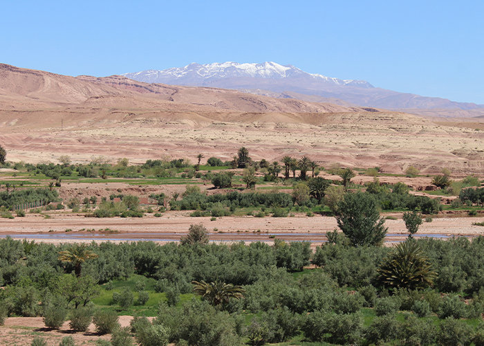 Fint Oasis e Tifoultoute Kasbah da Ouarzazate in mezza giornata