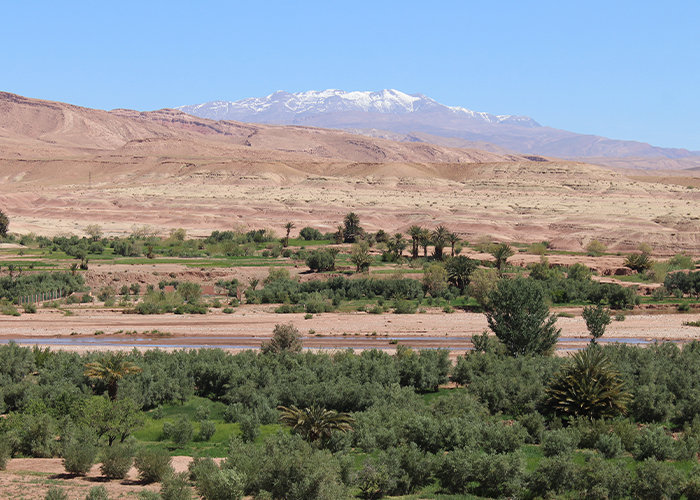 Fint Oasis & Tifoultoute Kasbah from Ouarzazate in half day