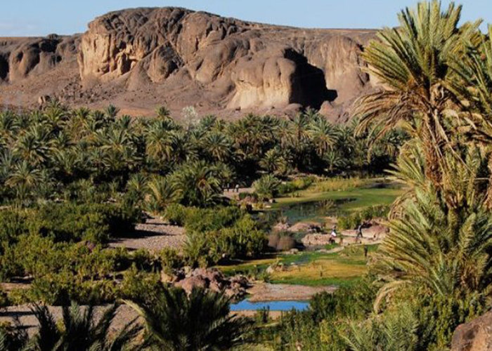 Full Day Excursion from Ouarzazate to Draa Valley