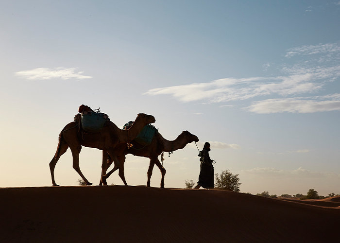 Tour from Ouarzazate to Erg Lihoudi Desert Tour in 2 days