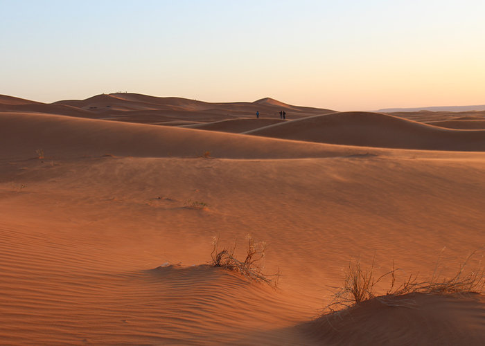 Marrakech to Zagora Camel Trekking in 2 Days Tour