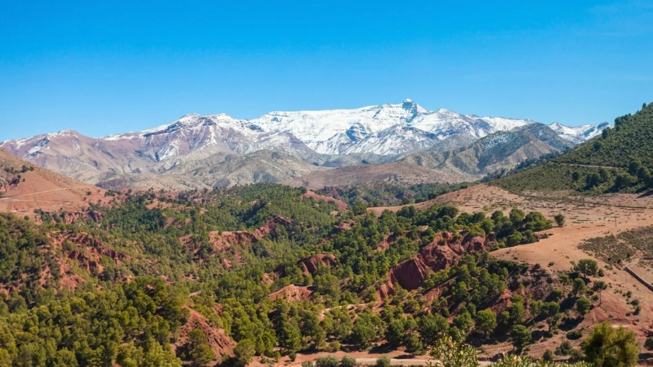 Excursion d’une journée complète de Fès au Moyen Atlas